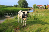 HOLLAND, Edam countryside, farmland, cow, HOL831JPL