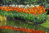 HOLLAND, Keukenhof Gardens and flowering red Tulips, HOL529JPL