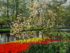 HOLLAND, Keukenhof Gardens and flowers, HOL106JPL