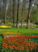 HOLLAND, Keukenhof Gardens and flowing Tulips, HOL671JPL