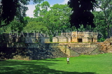 HONDURAS, Copan, Copan Archaeological Park, Middle Court buildings, HON113JPL