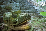 HONDURAS, Copan, Stone Carvings, Reviewing Stand, Copan Archaeological Park, HON130JPL