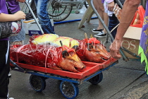 HONG KONG, Cheung Chau island, Tin Hau Festival, roast pigs for celebration, HK1623JPL