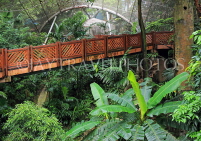 HONG KONG, Hong Kong Island, Hong Kong Park, aviary, paths and tropical foliage, HK1311JPL