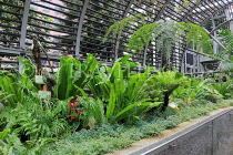 HONG KONG, Hong Kong Island, Zoological & Botanical Gardens, greenhouse, HK1771JPL