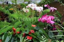 HONG KONG, Hong Kong Island, Zoological & Botanical Gardens, greenhouse, HK1776JPL