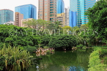 HONG KONG, Kowloon, Kowloon Park, Bird Lake, Pink Flamingos, HK1711JPL