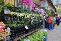 HONG KONG, Kowloon, Mong Kok, Flower Market, Orchids, HK980JPL