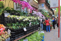 HONG KONG, Kowloon, Mong Kok, Flower Market, Orchids, HK981JPL