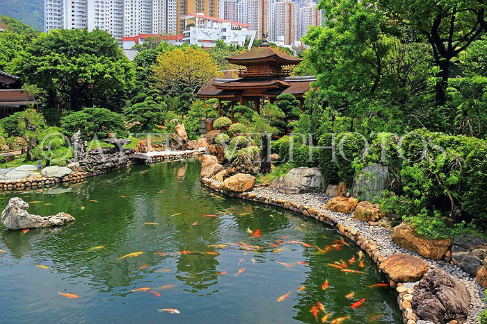 HONG KONG, Kowloon, Nan Lian Garden, Blue Pond and Pavilion Bridge, HK1026JPL