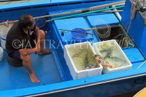 HONG KONG, Lantau Island, Tai O fishing village, fishing boat selling live seafood, HK776JPL