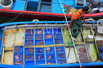 HONG KONG, Sai Kung, waterfront, boats selling live seafood, HK1456JPL