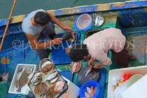 HONG KONG, Sai Kung, waterfront, fishermen cleaning their fish, HK1460JPL