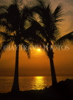 Hawaiian Islands, HAWAII (Big Island), Kohala Coast, sunset through coconut trees, HAW2319JPL