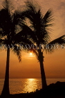 Hawaiian Islands, HAWAII (Big Island), Kohala Coast, sunset through coconut trees, HAW256JPL