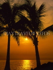 Hawaiian Islands, HAWAII (Big Island), Kohala Coast, sunset through coconut trees, HAW270JPL