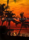 Hawaiian Islands, HAWAII (Big Island), Kohala Coast, sunset through coconut trees, HAW2994JPL