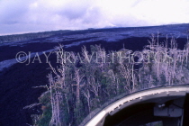 Hawaiian Islands, HAWAII (Big Island), Volcanoes Nat Park, aerial view, burnt trees, solid lava, HAW135JPL