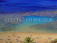 Hawaiian Islands, OAHU, Hanauma Bay, beach and shallow water coral, HAW369JPL