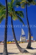 Hawaiian Islands, OAHU, Waikiki Beach, coconut palms and sailboats, HAW305JPL