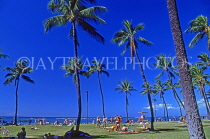 Hawaiian Islands, OAHU, Waikiki Beach area, holidaymakers and coconut trees, HAW365JPL