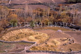 INDIA, Ladakh region, LEH, Gompa village, threshing in fields, IND638JPL