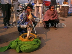 INDIA, Rajasthan, JAIPUR, snake charmer with Cobra, IND1206JPL