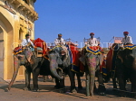 INDIA, Rajasthan, Jaipur, AMBER PALACE, elephants and mahouts, IND1208JPL