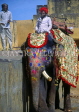 INDIA, Rajasthan, Jaipur, AMBER PALACE and Fort, elephant and mahout, IND696JPL