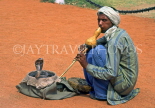 INDIA, South India, Kerala, COCHIN, snake charmer with Cobra, IND1109JPL