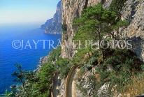 ITALY, Campania, Amalfi Coast, CAPRI, rugged limestone coast and walking paths, ITL1112JPL
