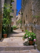 ITALY, Tuscany, GILGIO ISLAND, Giglio Castello, narrow street, ITL1650JPL