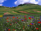ITALY, Umbria, PINO GRANDE, Mount Sibillini National Park landscape, ITL224JPL