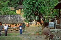 Indonesia, BALI, Tenganan, Balinese Aga (original village), street scene, BAL1068JPL