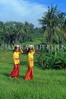 Indonesia, BALI, rice fields, and village girls carrying offerings (to temple), BAL859JPLA