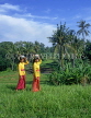 Indonesia, BALI, rice fields and village girls carrying offerings (to temple), BAL567JPL