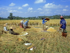 Indonesia, BALI, rice harvesting, farmers separating rice (paddy) through sifting, BAL582JPL