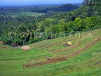 Indonesia, BALI, terraced farmed land, BAL1022JPL