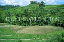 Indonesia, BALI, terraced farmed land, BAL1323JPL