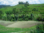 Indonesia, BALI, terraced farmed land, BAL581JPL