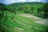 Indonesia, BALI, terraced farmed land, BAL775JPL