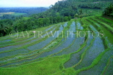 Indonesia, BALI, terraced rice (Paddy) fields, BAL774JPL
