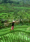 Indonesia, BALI, terraced rice fields and coconut seller, BAL1346JPL