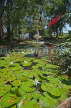 JAMAICA, Montego Bay, Rose Hall, home of the White Witch, Lilly Pond, JM299JPL