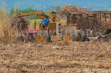 JAMAICA, sugar cane fields, workers with tractors, JM244JPL