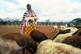 KENYA, Masai Mara woman with goat herd, KEN11JPL