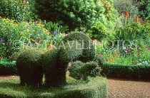 MADEIRA, Funchal, Quinta Palheiro Gardens (Blandy Gardens), MAD1173JPLA