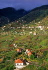 MADEIRA, hillside terraced farmed land and houses, MAD140JPL