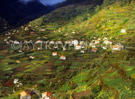MADEIRA, hillside terraced farmed land and houses, MAD171JPL