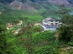 MALAYSIA, Cameron Highlands, Tea plantation and factory, MAL461JPL